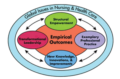 ANCC Magnet nursing model infographic